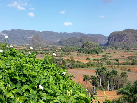 Viñales