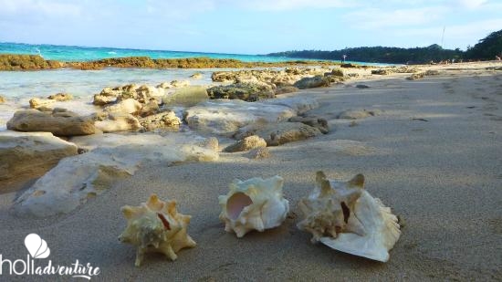 Maguana beach, Baracoa, Cuba - Jeep Tour "Toa-Maguana"