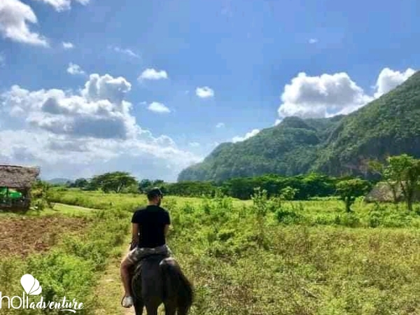 “Ride to Soroa and Viñales in Old Fashion American Classic Cars” Tour - “RIDE TO SOROA AND VIÑALES IN OLD FASHION AMERICAN CLASSIC CARS” TOUR