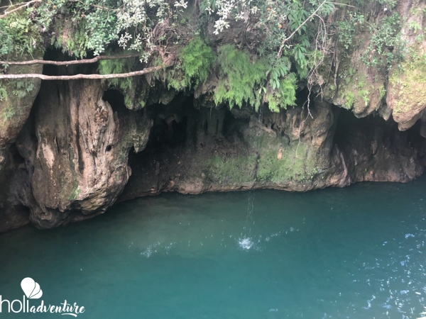 “In Horse Carriage to El Pilón Waterfall” Tour - “In Horse Carriage to El Pilón Waterfall” Tour