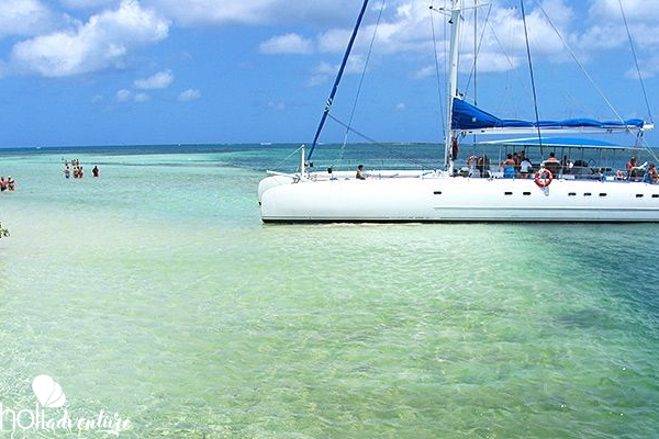 “Paradise Island” Tour - “PARADISE ISLAND” Tour