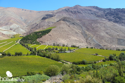 Elqui Valley, Coquicombo region, Chile - "ELQUI VALLEY, HOME OF GABRIELA MISTRAL" TOUR