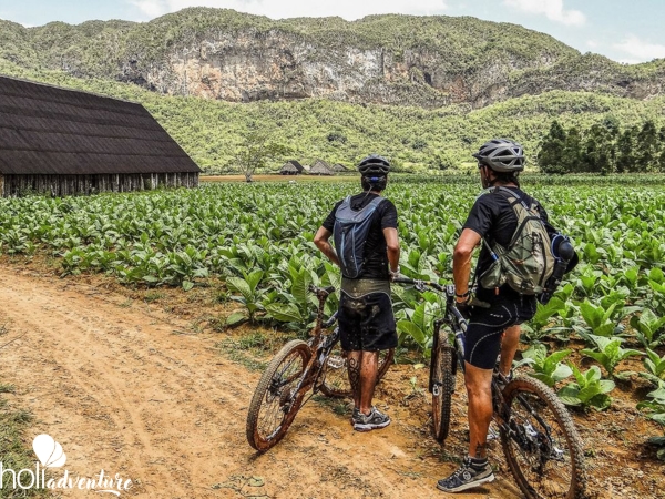 “A Beauty and Sweaty Mountain Bike” Tour - Excursión “UN BELLO Y SUDOROSO VIAJE EN BICICLETA”