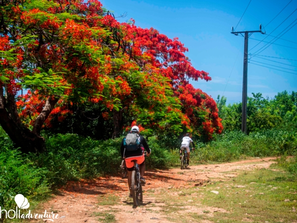  - “EL PILÓN TRAIL” Cycling tour