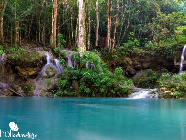 Jobo Rosado" Protected Area" - Walking Tour "Jobo Rosado"