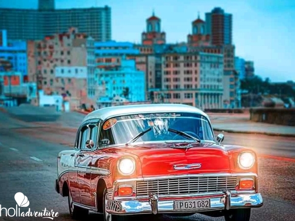 Havana classic car  panoramic view, Havana City - City Tour in Classic Cars (Roof top)