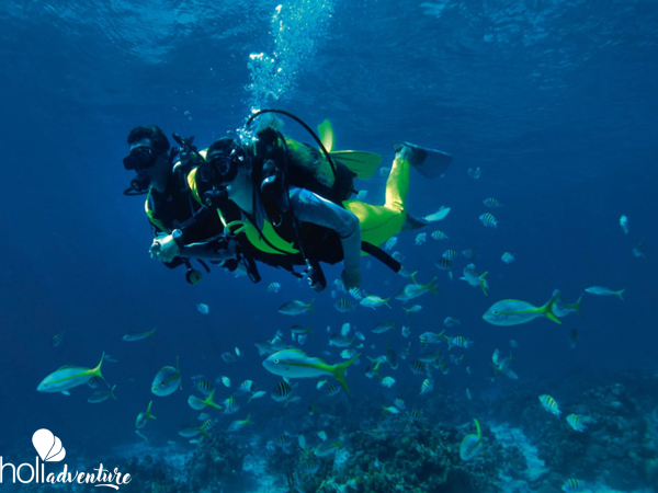 "Diving in Albacora Dive Center" Marea del Portillo Tour - "Diving in Albacora Dive Center" Marea del Portillo Tour