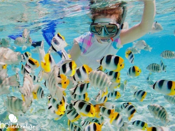 Snorkeling in the coral reff in Santa Lucia - “Coral” Tour