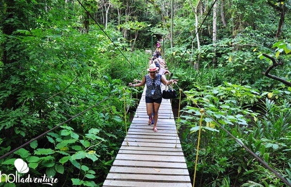 Tour to “the Altiplano of Tope de Collante” (Guanayara Natural Park) - Tour to “the Altiplano of Tope de Collante” (Guanayara Natural Park)
