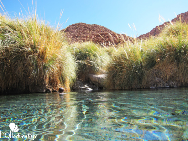 Puritama hot springs, Antofagasta region, Chile. - “PURITAMA HOT SPRINGS” TOUR