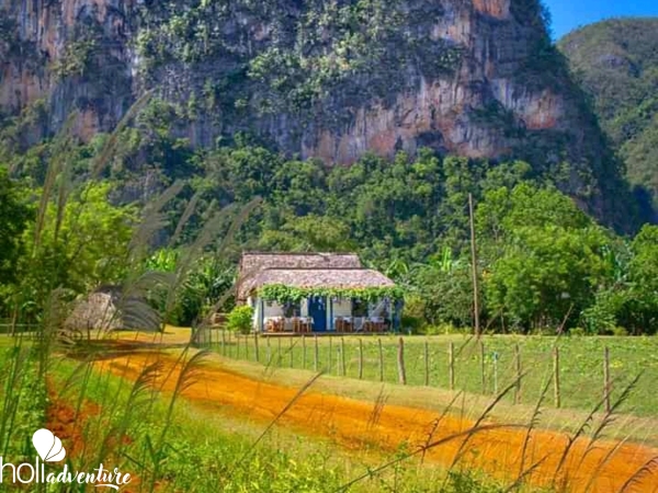 “Habana - Pinar del Río - Viñales” Tour - “HAVANA-VIÑALES” Private Overnigt Tour
