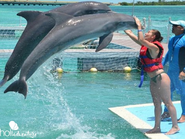 Interacting with the Dolphins at Cayo Guillermo dolphinarium - "Enjoy a morning swim with dolphins in Cayo Coco" Tour