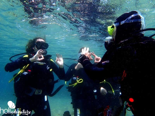 Diving courses in different centers of the country - Diving courses in different destinations in Cuba