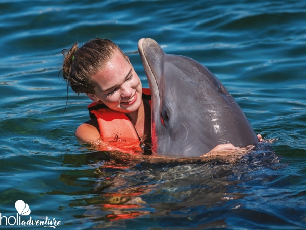 Swimming with dolphins at Bahía de Naranjo dolphinarium - Excursión “Aventura marina con cena a base de langosta”