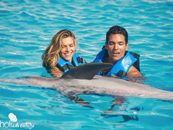 - Excursion "Specialized swim with dolphins in Varadero"