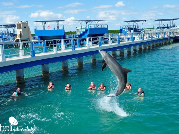  - Excursión “BAÑO CON DELFINES EN CAYO SANTA MARÍA”