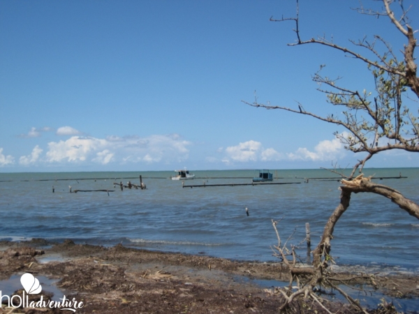 “Tracking The Pirates, A Trek Through Mangroves” Tour - “Tracking The Pirates, A Trek Through Mangroves” Tour