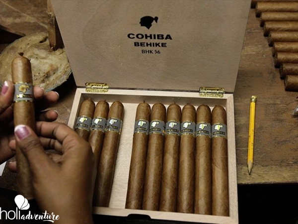 "Havana + Tobacco Factory" Tour - "Havana + Tobacco Factory" Tour