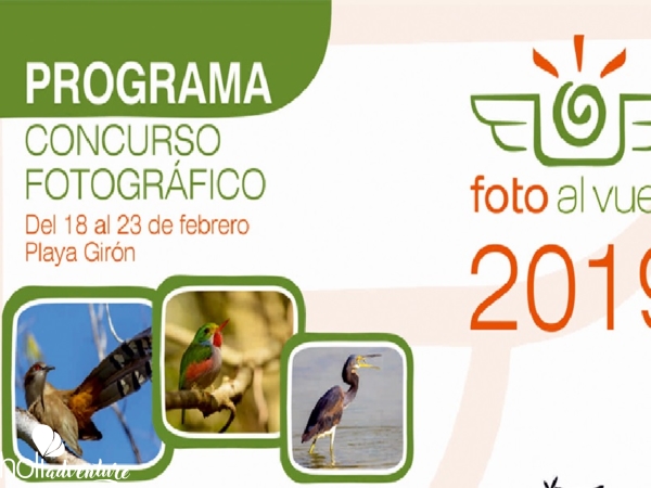  - Fotographic Contest " Foto al Vuelo"  Febraury 18th to 23rd, 2019