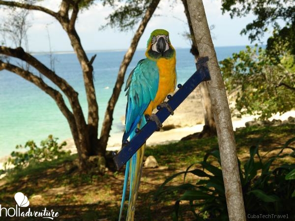 fauna cayo saetia - Jeep Safari "Descubriendo Cayo Saetía"