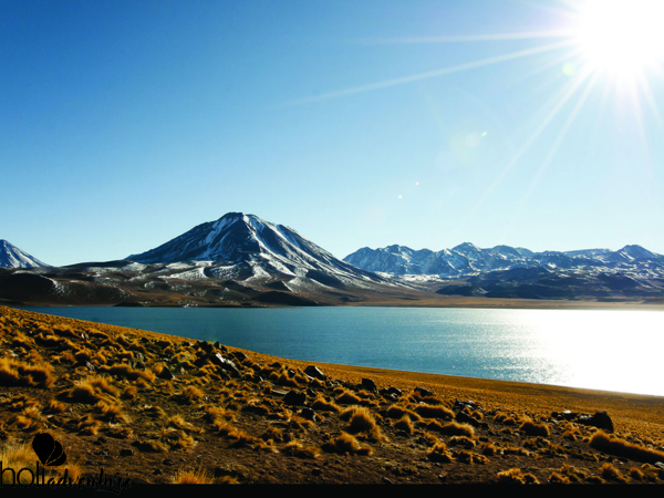 Altiplanic lagoons, panoramic view, Antofagasta region, Chile - “ATACAMA SALT FLAT & ALTIPLANIC LAGOONS” TOUR