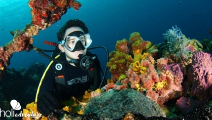 "Diving in Cayo Levisa” Tour - "Diving in Cayo Levisa” Tour