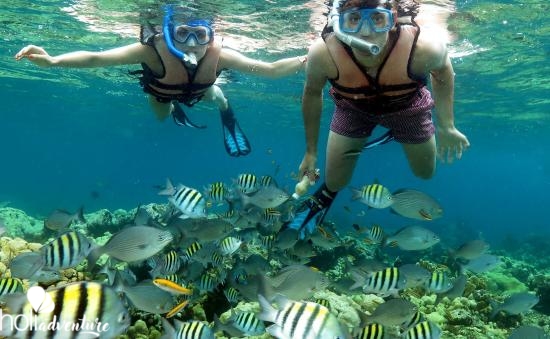 "Snorkeling from Marea del Portillo" Tour - "Snorkeling from Marea del Portillo" Tour