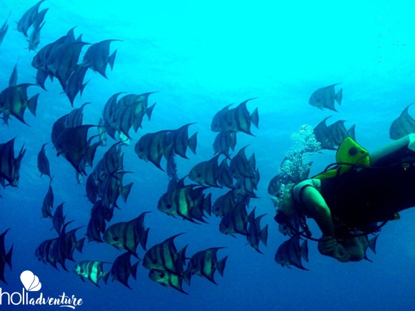 "Diving in in Covarrubias" Tour - "Diving in in Covarrubias" Tour