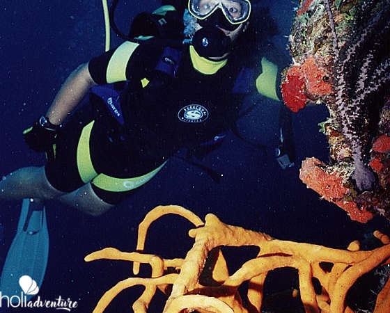 Scuba diving tour in Santiago de Cuba - "Excursión de Buceo en Santiago de Cuba"