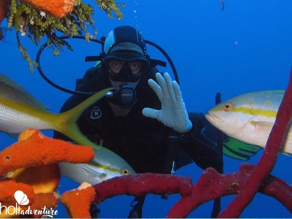Scuba diving in Trinidad. Cuba - "ACUC International Certification Dive Courses"  Trinidad.