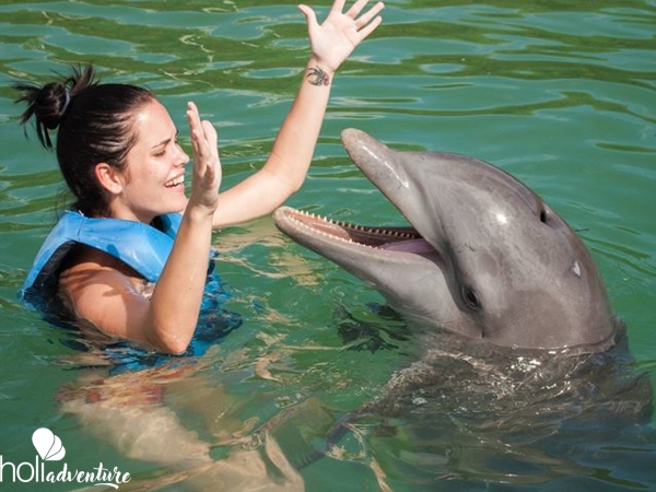 Dolphinarium, Cienfuegos city. - "Cienfuegos-Guanaroca-Delfinario" Tour