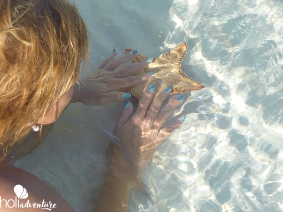 Trip in Cayo Largo del Sur. - "Super Reef" Tour