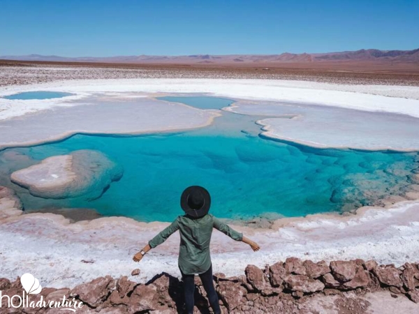 Baltinache lagoons, panoramic view, Antofagasta región, Chile. - “BALTINACHE LAGOONS” TOUR