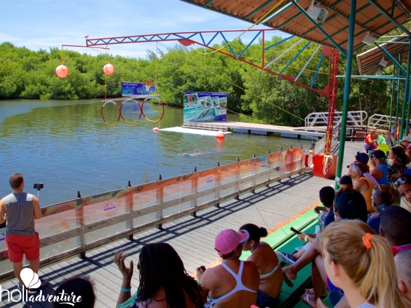  - "Swimming with dolphins at Varadero" Excursion