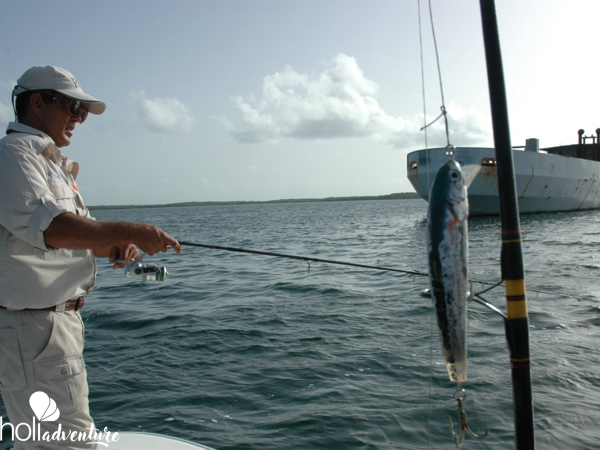 “Specialized Fishing Tour in Cayo Santa María“ - Excursión “PESCA ESPECIALIZADA EN CAYO SANTA MARÍA (SPINNING Y TROLLING)”