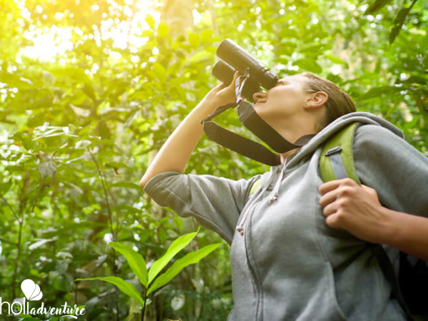 “Birdwatching tour in Viñales” - “Birdwatching tour in Viñales”