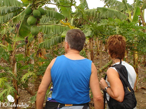 ”Visit to the Agroecological and Medicinal Plants Farm” - Visit to the Agro-ecological and Medicinal Plants Farm