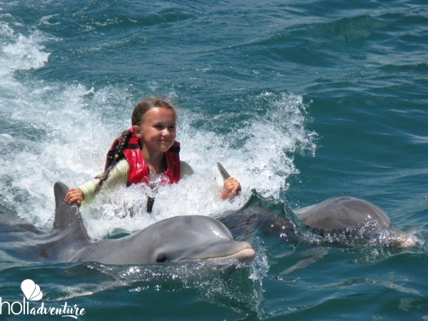 Swimming with dolphins at Bahía de Naranjo dolphinarium - Excursión “Seafari Crucero del Sol”
