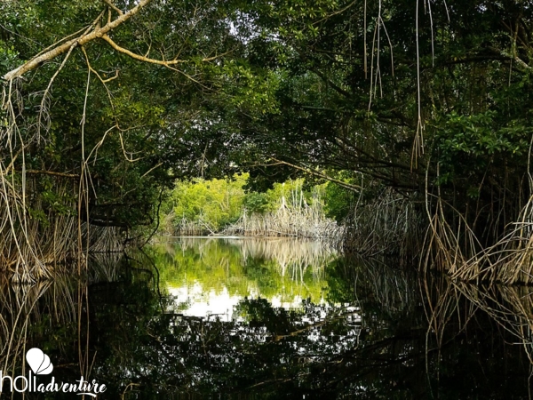 Gran Humedal Park, North of Ciego de Avila, Cuba - "NATURE TOUR" Tour