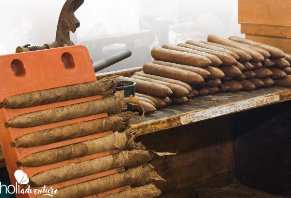 Twisted Tobacco, "Cuban Flavor" Tour - Excursión "SABOR CUBANO"