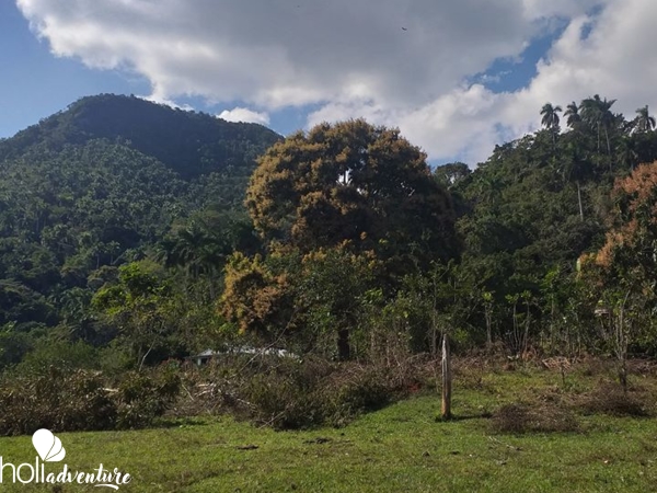 "El Brujito" Trail - Sendero “El Brujito”