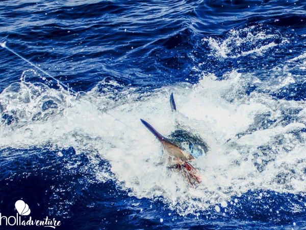 Deep Sea Fishing in Tarara Tour - "Deep Sea Fishing in Tarara" Tour