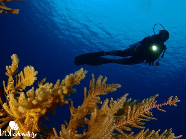 Diving in Trinidad Tour - "Diving in Trinidad" Tour