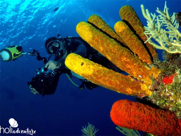 Diving in Havana - “SCUBA DIVING IN TARARÁ” Tour