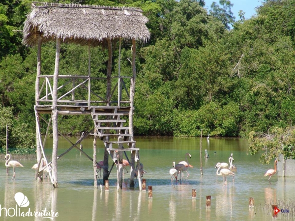 Rocazul biopark, Holguín - Excursión Un Día Campestre