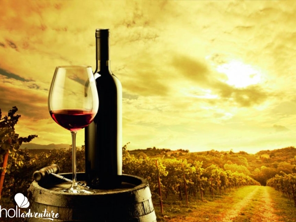 Local wine tour, Lima, Peru - LOCAL WINE TOUR