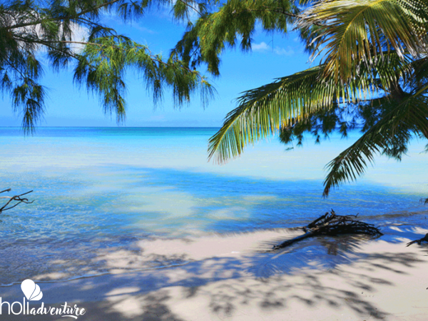  - “BUGGY TOURS: FROM VIÑALES TO CAYO JUTIAS BEACHES” Tour