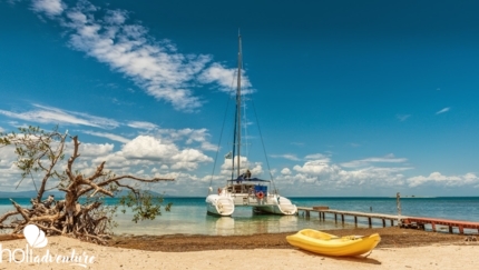  - “SEAFARI CAYO LAS IGUANA” Tour