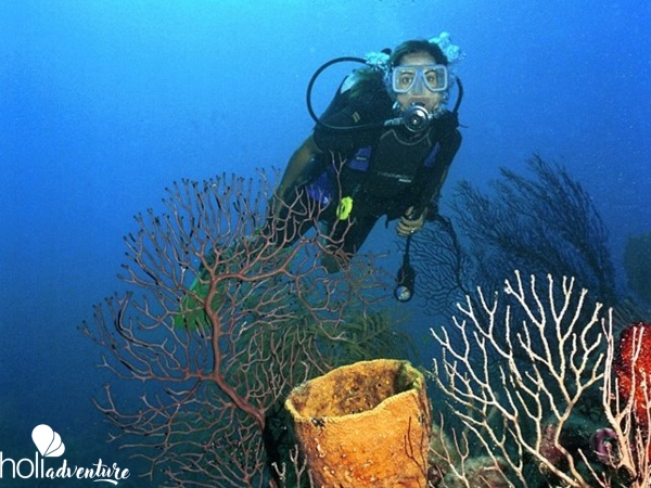 Scuba diving tour in Cayo Santa María - Excursión “BUCEO EN CAYO SANTA MARÍA”