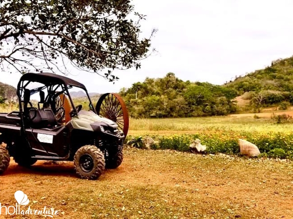  - “BUGGY TOURS: VISIT TO THE JUTIAS VALLEY” Tour